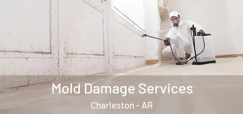  Mold Damage Services Charleston - AR