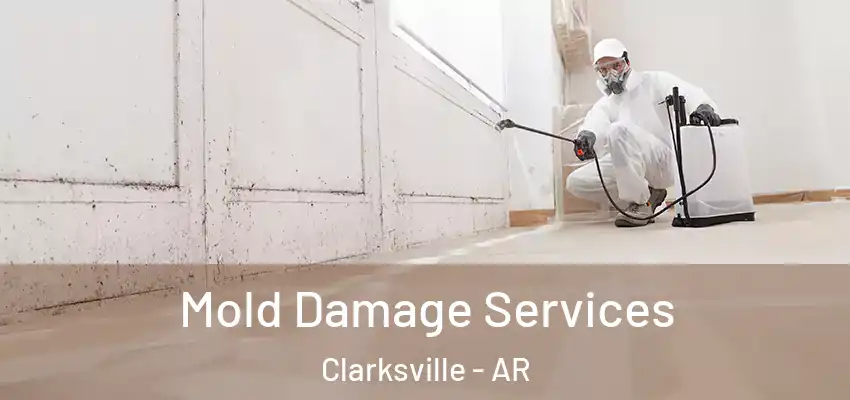  Mold Damage Services Clarksville - AR