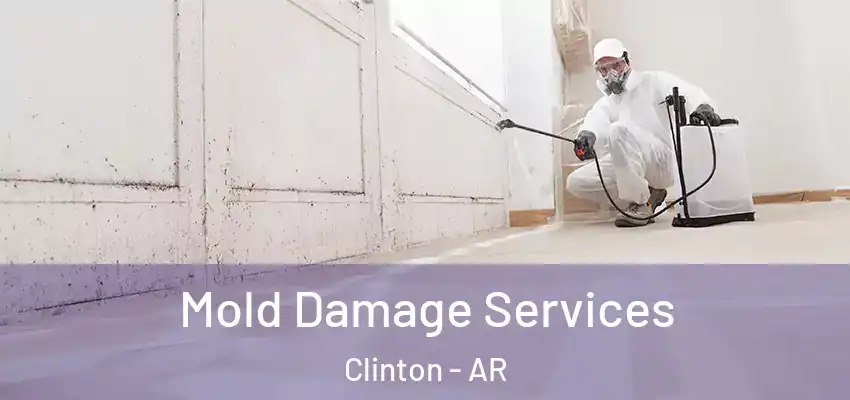 Mold Damage Services Clinton - AR