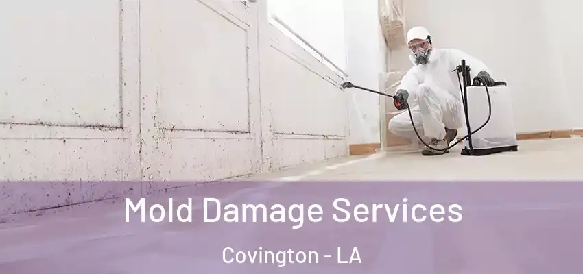 Mold Damage Services Covington - LA