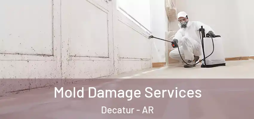Mold Damage Services Decatur - AR