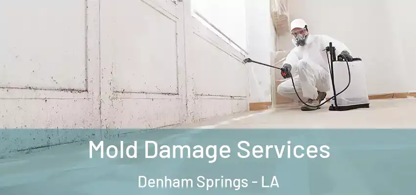  Mold Damage Services Denham Springs - LA