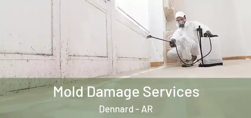 Mold Damage Services Dennard - AR