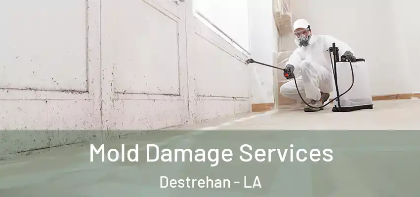  Mold Damage Services Destrehan - LA