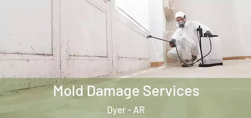 Mold Damage Services Dyer - AR