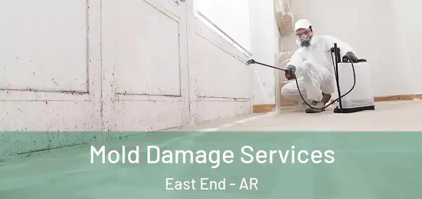  Mold Damage Services East End - AR