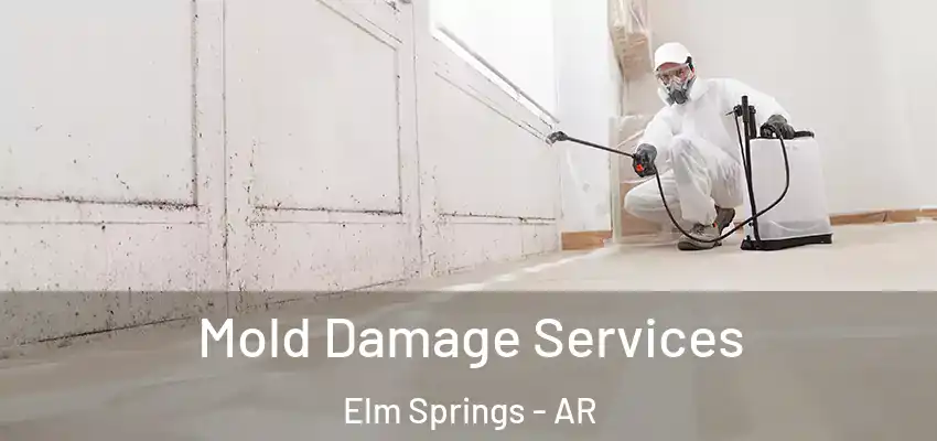  Mold Damage Services Elm Springs - AR