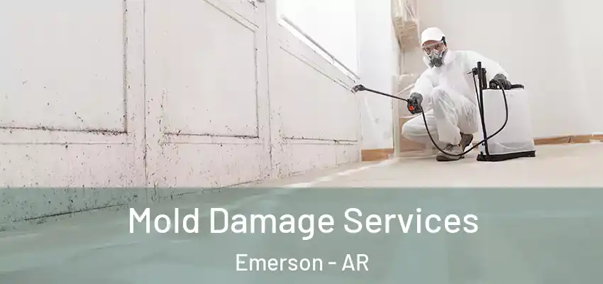  Mold Damage Services Emerson - AR