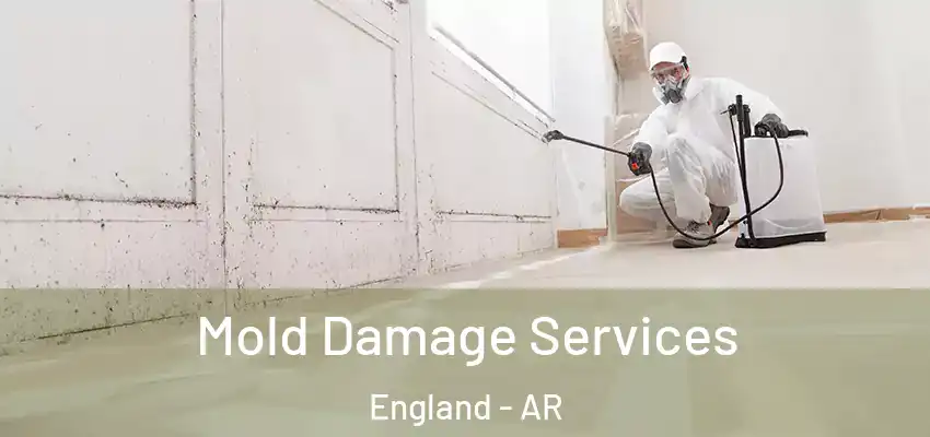  Mold Damage Services England - AR