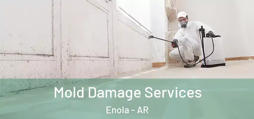  Mold Damage Services Enola - AR