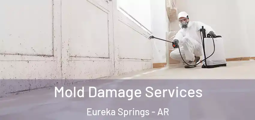 Mold Damage Services Eureka Springs - AR