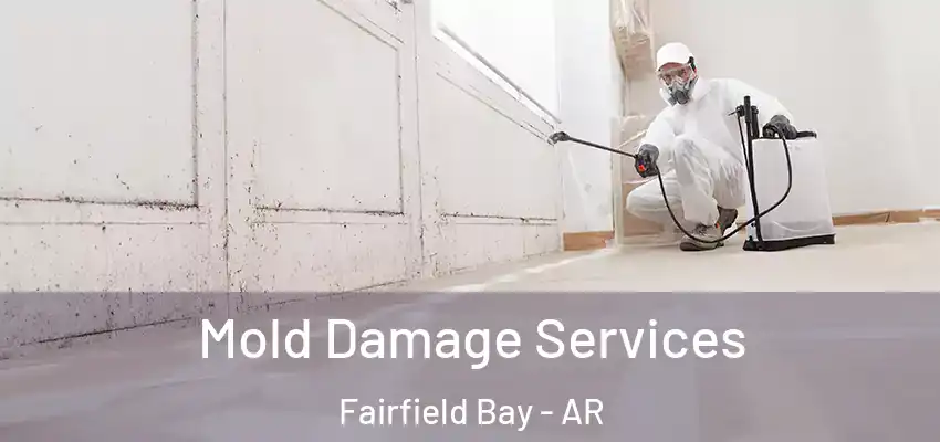  Mold Damage Services Fairfield Bay - AR