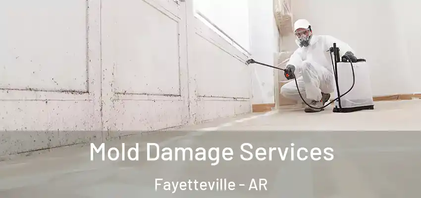 Mold Damage Services Fayetteville - AR