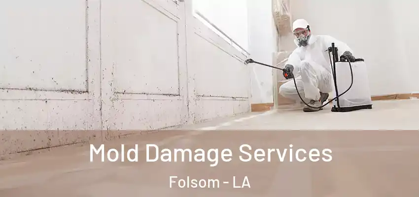  Mold Damage Services Folsom - LA