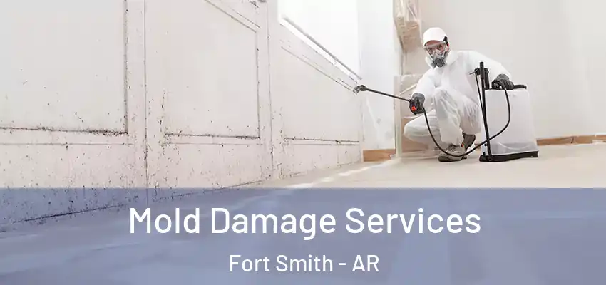 Mold Damage Services Fort Smith - AR