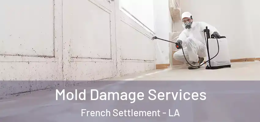 Mold Damage Services French Settlement - LA