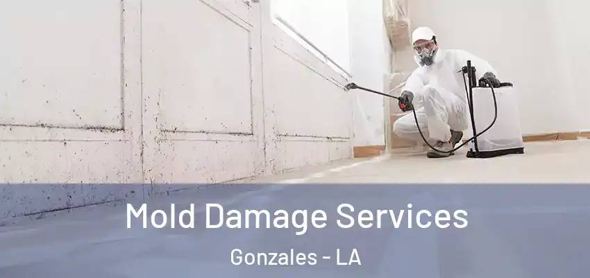  Mold Damage Services Gonzales - LA