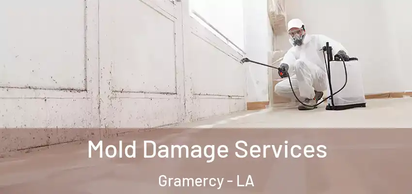  Mold Damage Services Gramercy - LA