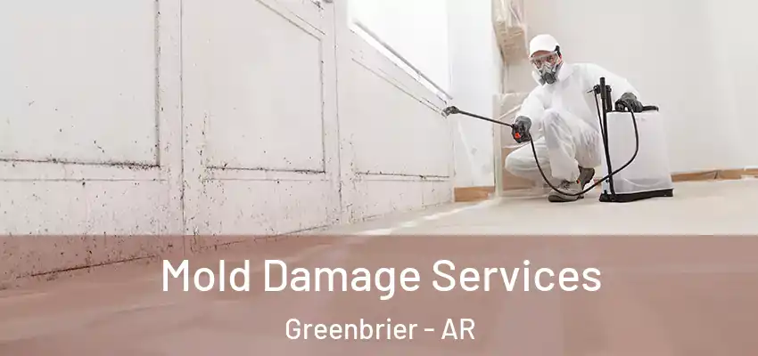  Mold Damage Services Greenbrier - AR