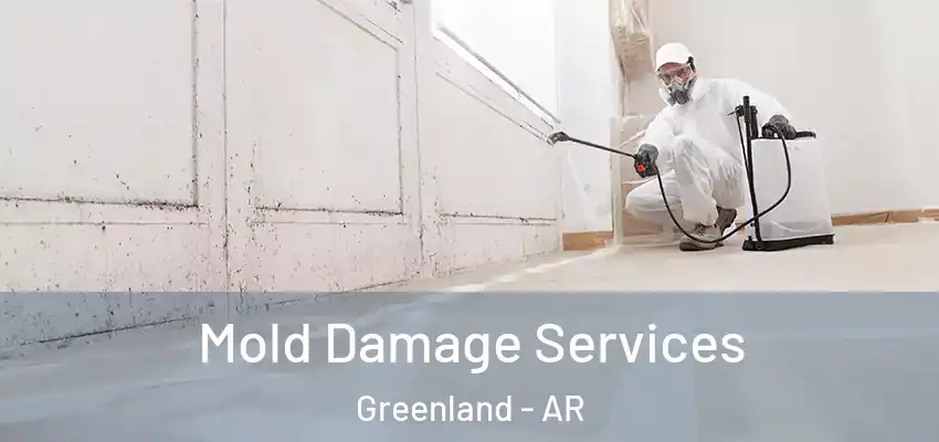 Mold Damage Services Greenland - AR