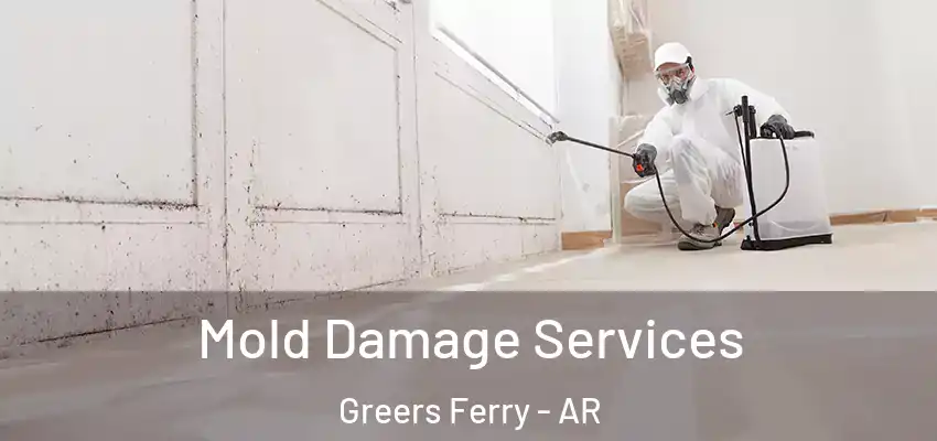  Mold Damage Services Greers Ferry - AR