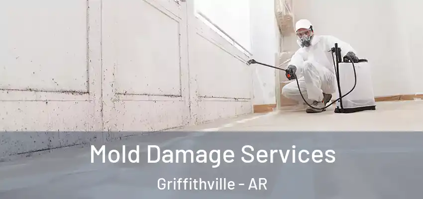  Mold Damage Services Griffithville - AR