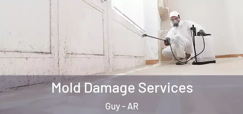  Mold Damage Services Guy - AR