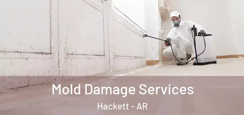  Mold Damage Services Hackett - AR