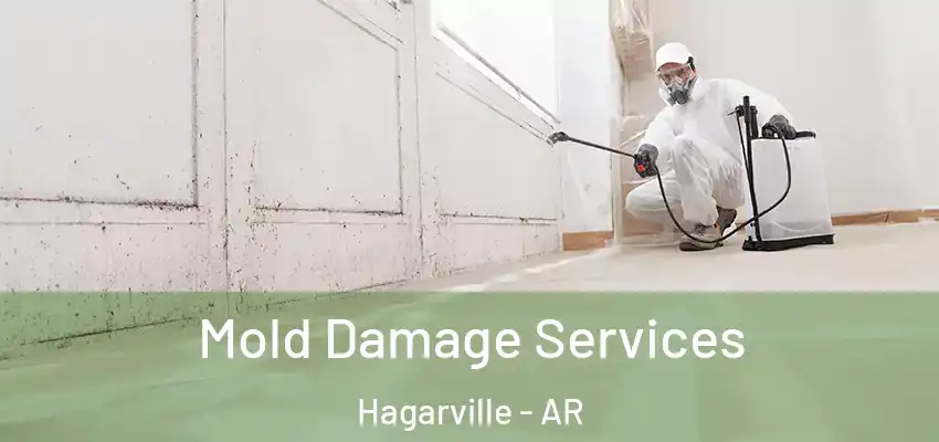  Mold Damage Services Hagarville - AR