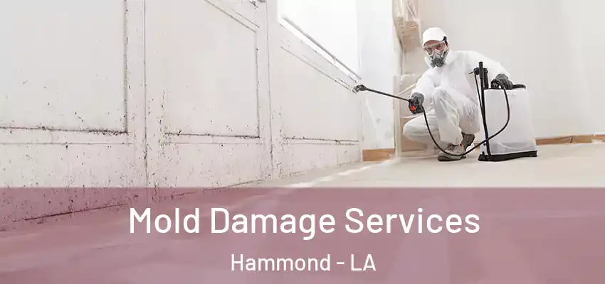  Mold Damage Services Hammond - LA
