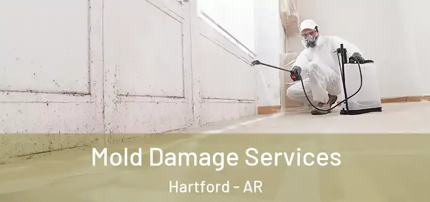  Mold Damage Services Hartford - AR