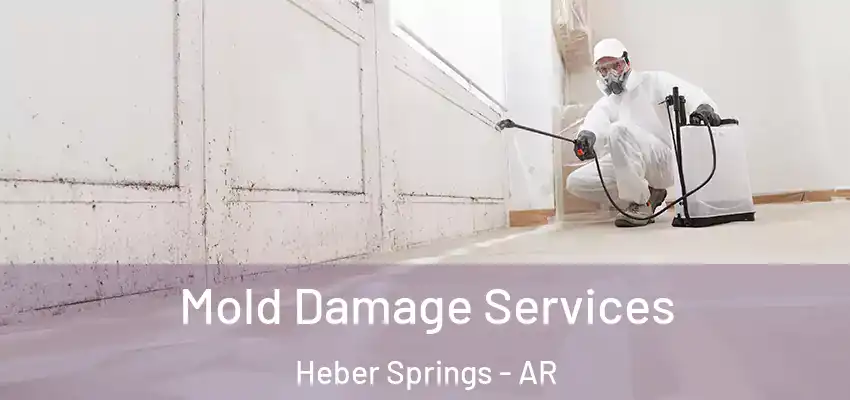  Mold Damage Services Heber Springs - AR