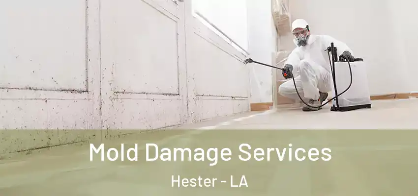 Mold Damage Services Hester - LA