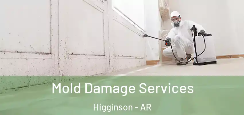  Mold Damage Services Higginson - AR