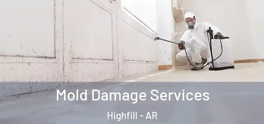 Mold Damage Services Highfill - AR