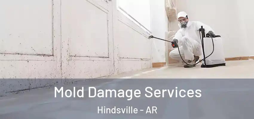  Mold Damage Services Hindsville - AR