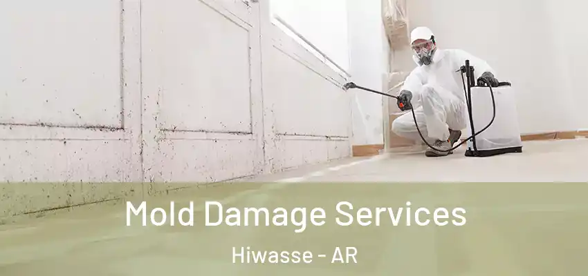 Mold Damage Services Hiwasse - AR