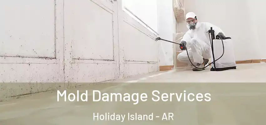 Mold Damage Services Holiday Island - AR