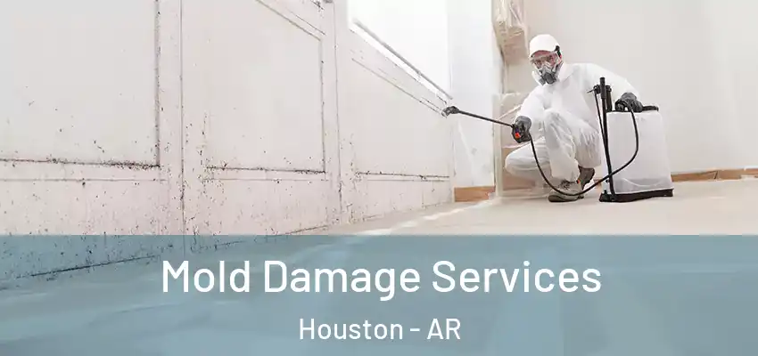  Mold Damage Services Houston - AR