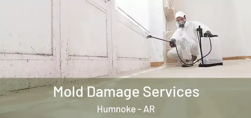  Mold Damage Services Humnoke - AR
