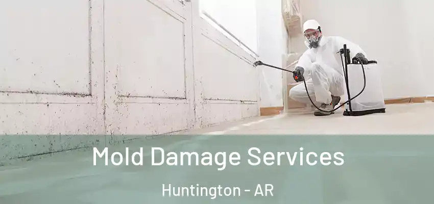  Mold Damage Services Huntington - AR