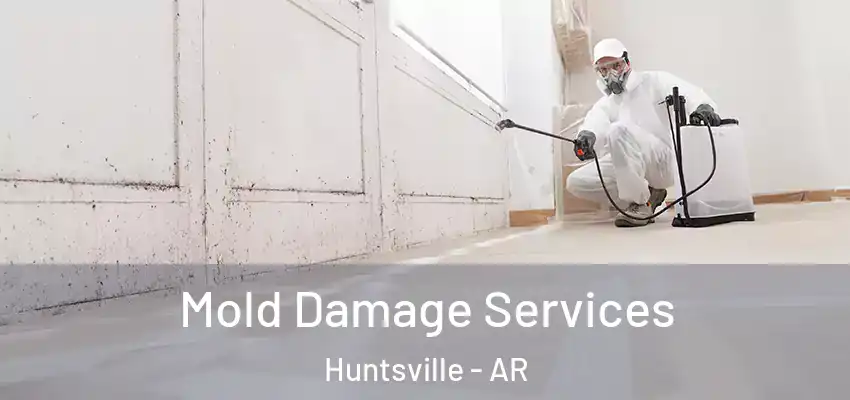  Mold Damage Services Huntsville - AR