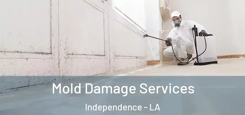 Mold Damage Services Independence - LA