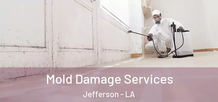  Mold Damage Services Jefferson - LA