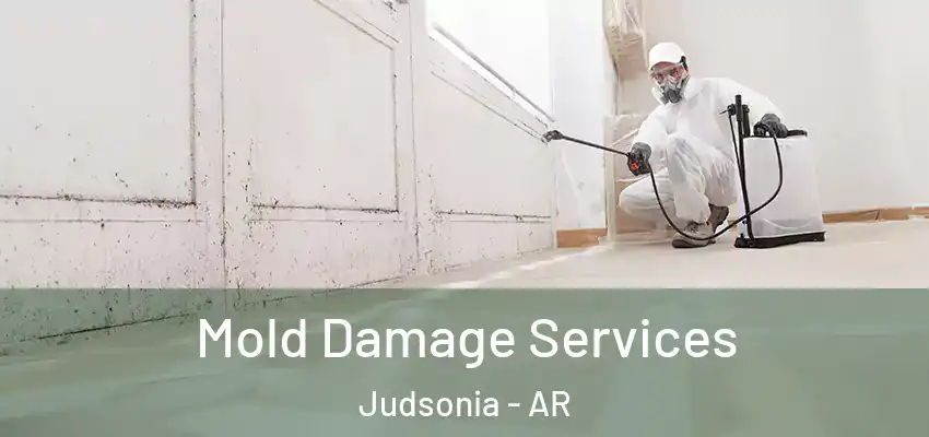  Mold Damage Services Judsonia - AR