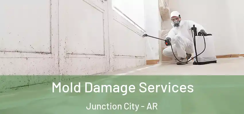  Mold Damage Services Junction City - AR