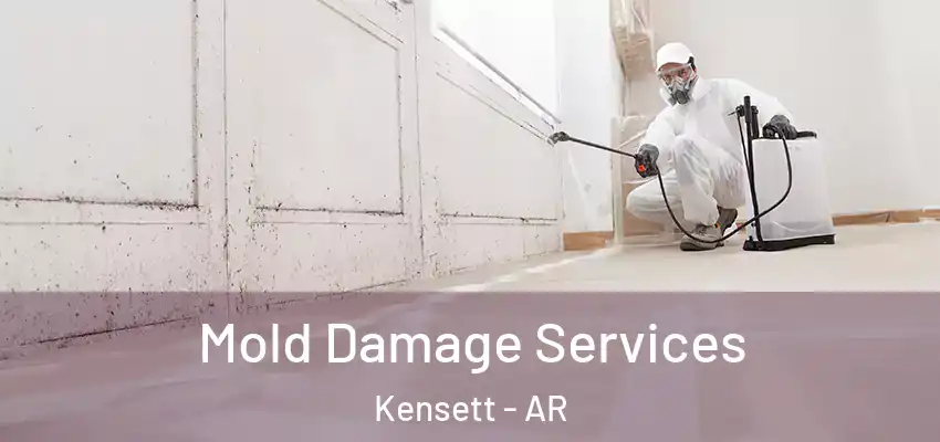 Mold Damage Services Kensett - AR
