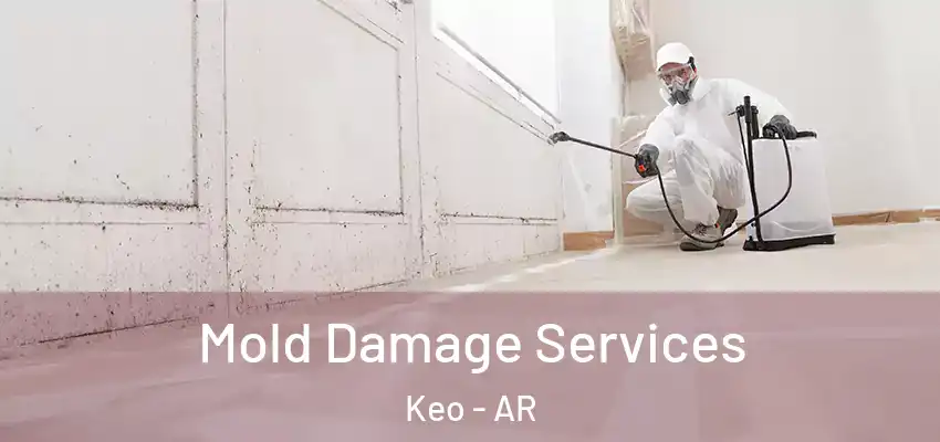  Mold Damage Services Keo - AR