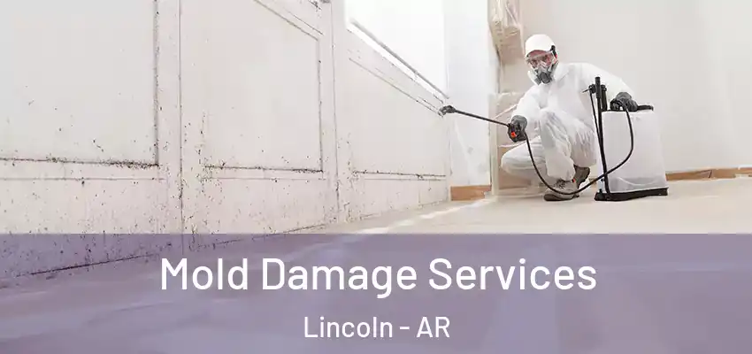 Mold Damage Services Lincoln - AR