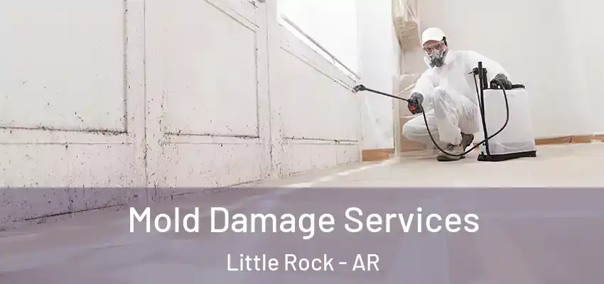  Mold Damage Services Little Rock - AR